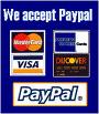 Paypal payment for web hosting in india